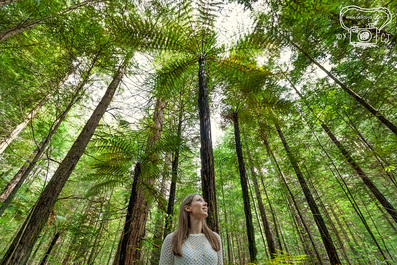 rotorua redwoods and lizzie marvelly