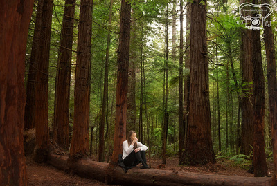 coffee in the rotorua redwoods, lizzie marvelly