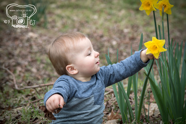 baby boy and daffodils